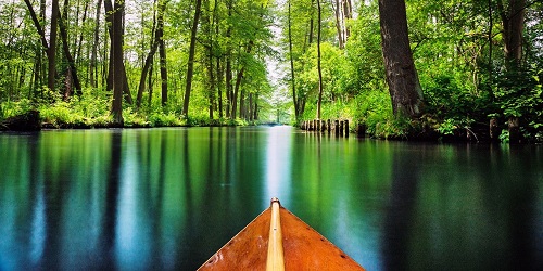 المساحات الخضراء و تأثيرها على الصحة.jpg